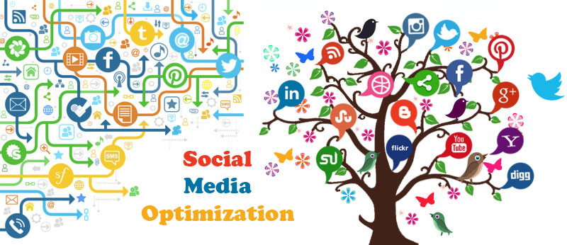 Social Media Optimization Company in Raipur